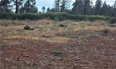 13935 Cascade, Magalia, California 95954, ,Land,Buy,13935 Cascade,PA24164368