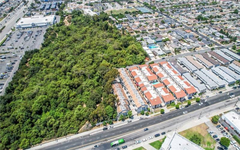 Explore the Gardena Willows Wetland Preserve, adjacent to the community.