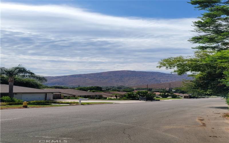 Neighborhood views out the front