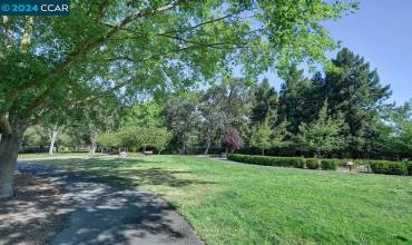 1408 Golden Rain Rd 1, Walnut Creek, California 94595, 2 Bedrooms Bedrooms, ,1 BathroomBathrooms,Residential,Buy,1408 Golden Rain Rd 1,41069342