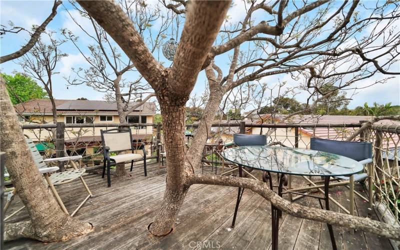 tree house with view