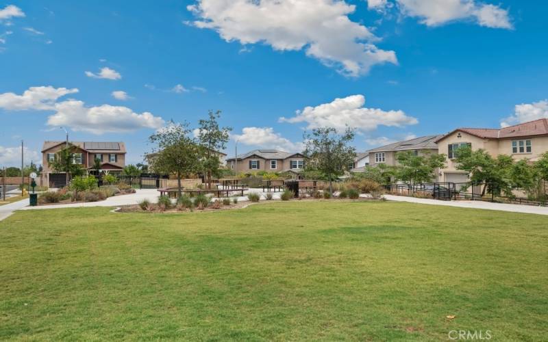 Neighborhood Park  Picnic area