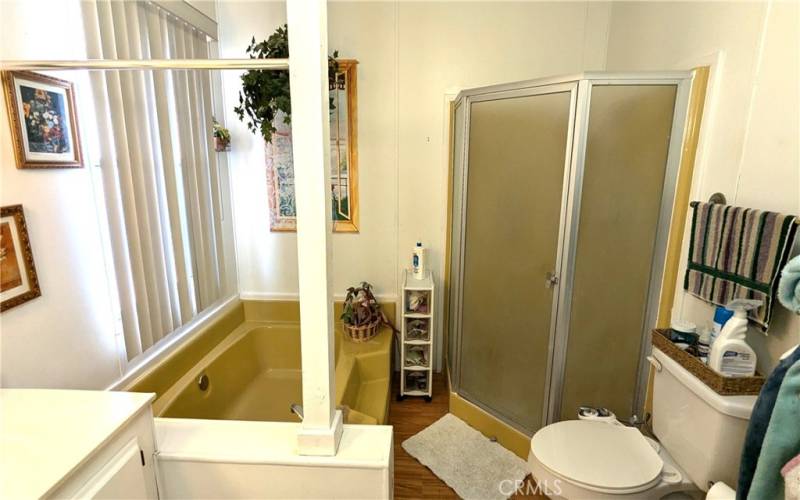 Large Soaking tub and Separate Shower in Primary Bath