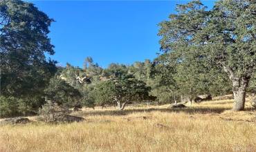 5278 Cya Road, Mariposa, California 95338, ,Land,Buy,5278 Cya Road,MP24163304