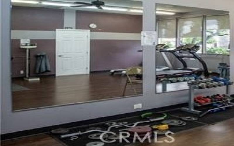 Gym features treadmills and weights.