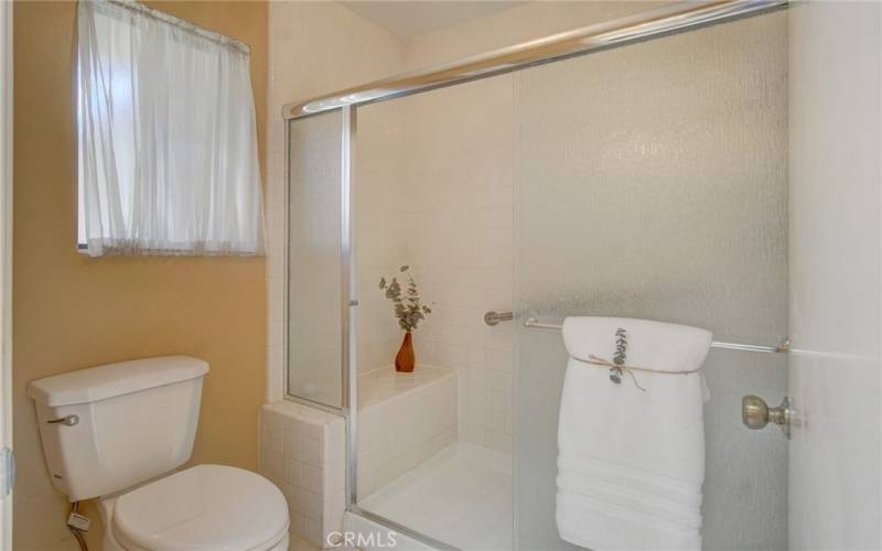 Guest bath- walk in shower