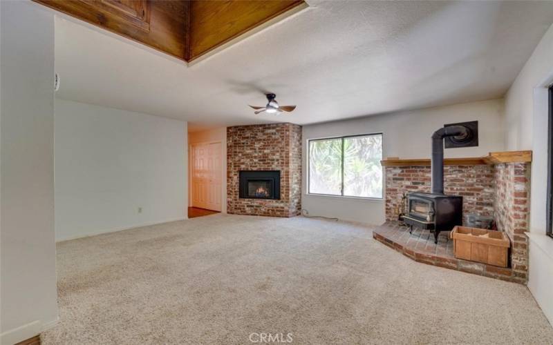 Living room gas heater and wood burning stove