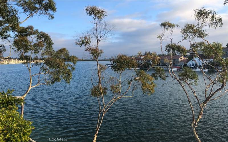 (Private Lake Mission Viejo allows access to only members and their guests)