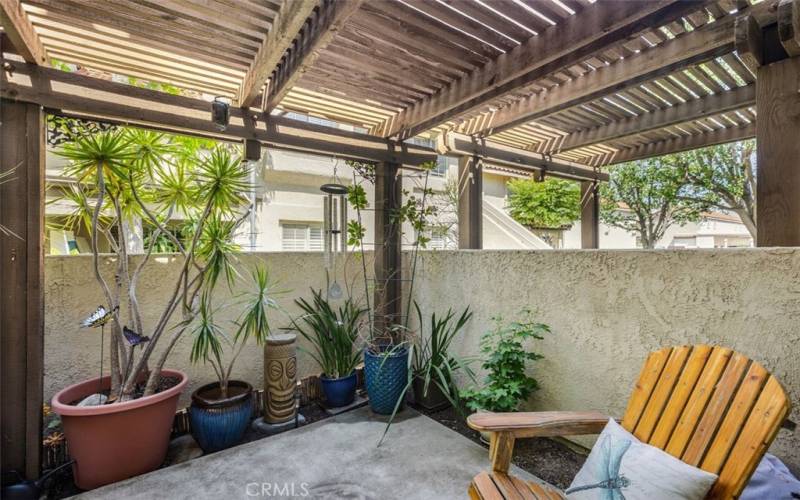 Morning sun lights up patio and garden