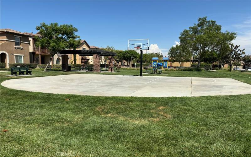 HOA basketball half court