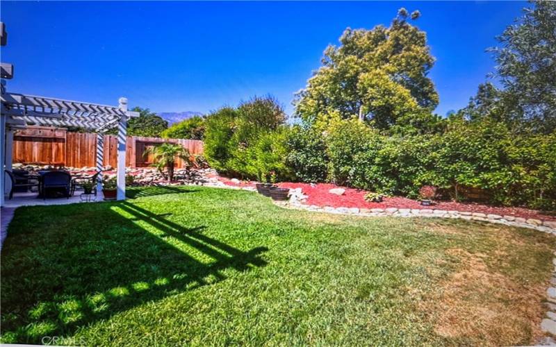 Back Yard with the View of the Mountains