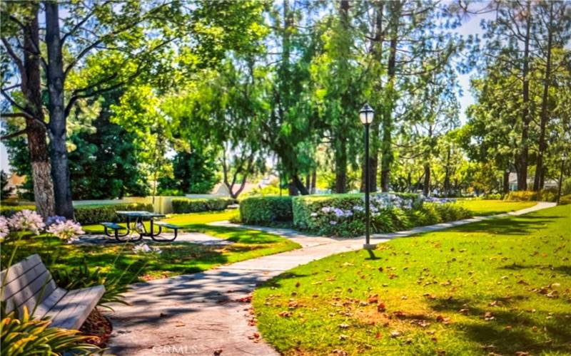 Picturesque Walkways