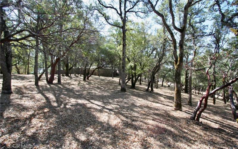 Lot slops down to Little Borax Lake Rd.