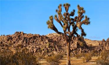 800 Adobe Mountain Rd., Adelanto, California 92301, ,Land,Buy,800 Adobe Mountain Rd.,HD24166622