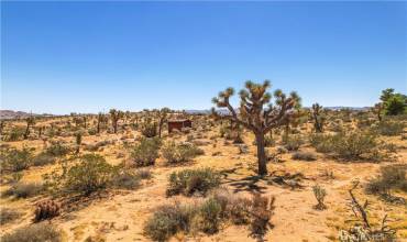 3380 Goleta Avenue, Yucca Valley, California 92284, ,Land,Buy,3380 Goleta Avenue,JT24166720