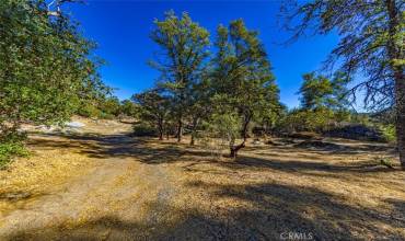 4200 Silver Lane Road, Mariposa, California 95338, ,Land,Buy,4200 Silver Lane Road,FR23186973