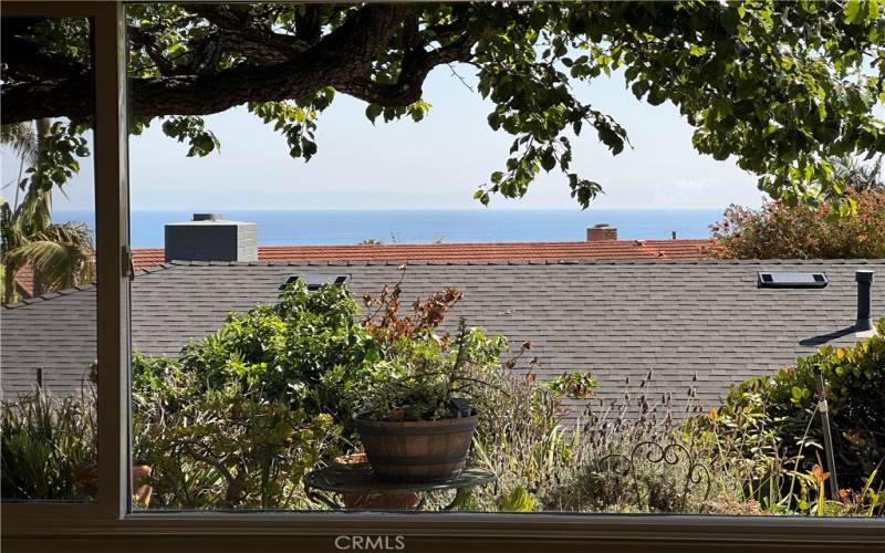 VIEW FROM KITCHEN & DINNING ROOM