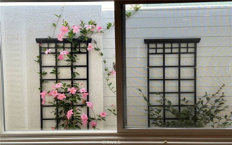 PRIMARY BEDROOM VIEW OF COURTYARD