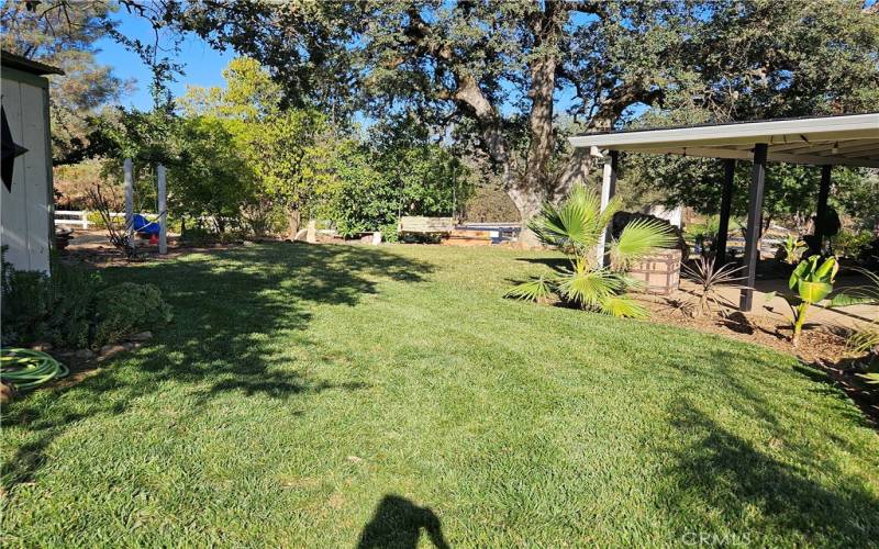 Lush front yard of the main home