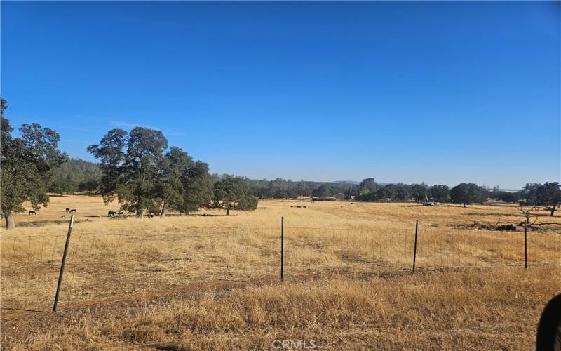 Beautiful pasture land with spectacular views