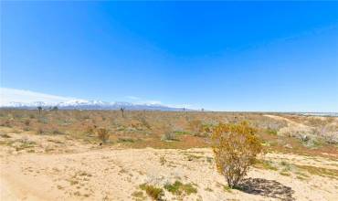 0 White Road, Phelan, California 92371, ,Land,Buy,0 White Road,CV24010532