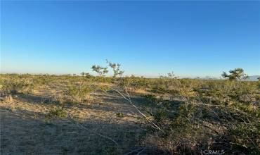 0 Crippen Avenue, Adelanto, California 92301, ,Land,Buy,0 Crippen Avenue,HD23188745