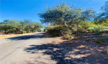 16227 12th Avenue, Clearlake, California 95422, ,Land,Buy,16227 12th Avenue,LC23183661