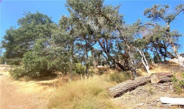 15840 20th Avenue, Clearlake, California 95422, ,Land,Buy,15840 20th Avenue,LC23183632