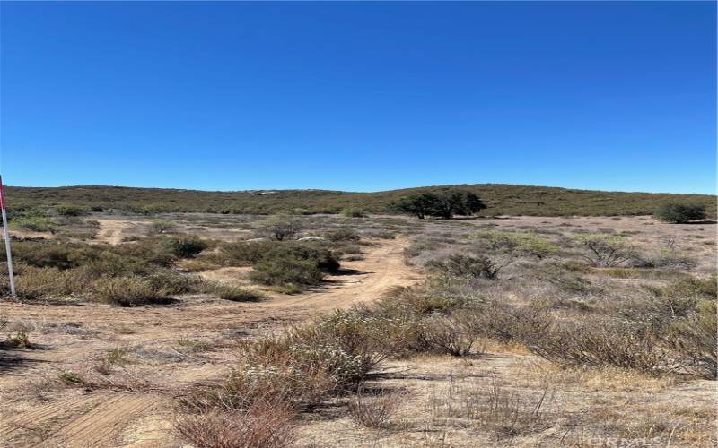 View of Coleman Road to parcels.