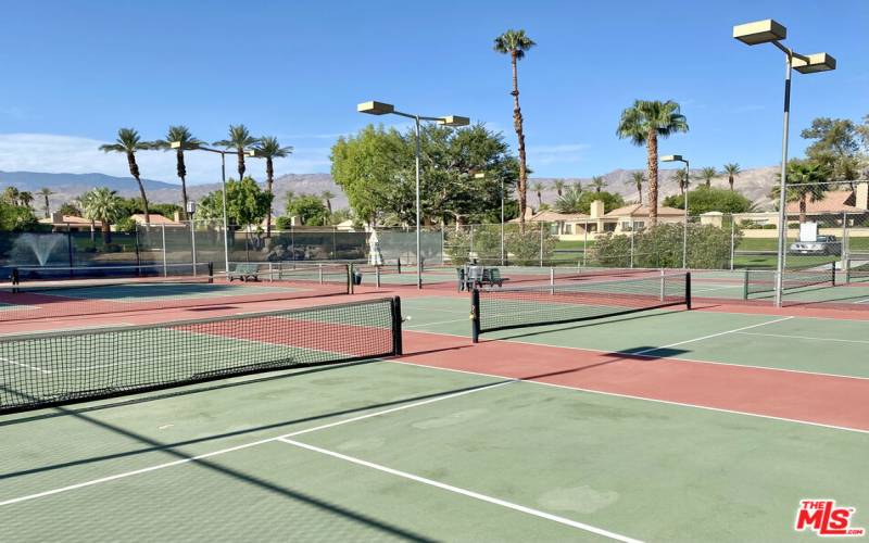 Pickleball Courts