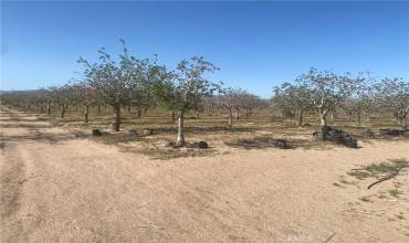 35500 Newberry Road, Newberry Springs, California 92365, ,Land,Buy,35500 Newberry Road,HD23065818