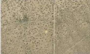 0 0498505070000, San Bernardino, California 93516, ,Land,Buy,0 0498505070000,230006333SD