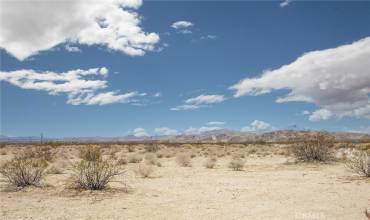 65100 Reagan Road, Joshua Tree, California 92252, ,Land,Buy,65100 Reagan Road,JT22139228