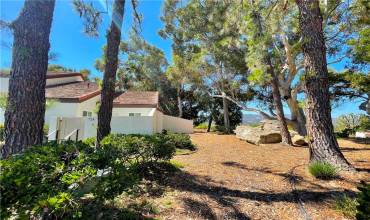 724 Tuolumne Drive, Thousand Oaks, California 91360, 2 Bedrooms Bedrooms, ,1 BathroomBathrooms,Residential Lease,Rent,724 Tuolumne Drive,SR24167173