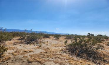 2 Horizon Court, Phelan, California 92371, ,Land,Buy,2 Horizon Court,HD23158645