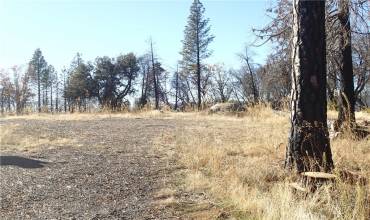 51 Horseshoe Trail, Berry Creek, California 95916, ,Land,Buy,51 Horseshoe Trail,OR24167518