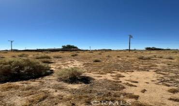 8136 Nippa Avenue, California City, California 93505, ,Land,Buy,8136 Nippa Avenue,IV24167541