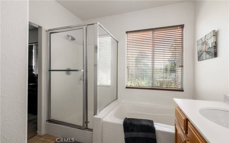 Master bath with separate shower and tub.