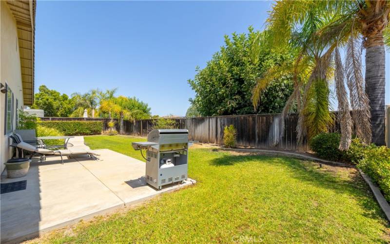 Nice green backyard with patio.