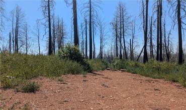 0 Stephens Ridge, Berry Creek, California 95916, ,Land,Buy,0 Stephens Ridge,SN24160792