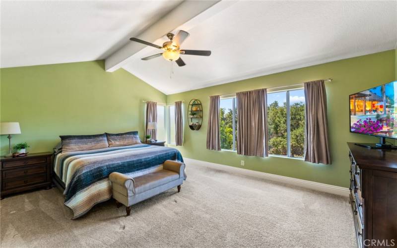 Expansive Primary Suite with Gorgeous views