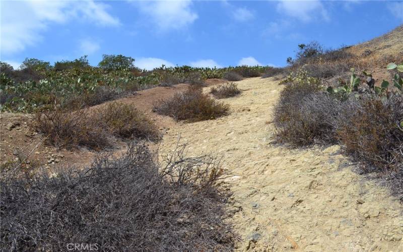 Santiago Oaks Regional Park