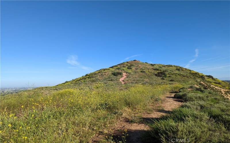 Santiago Oaks Regional Park