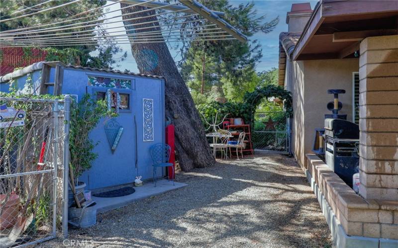 Backyard shed.