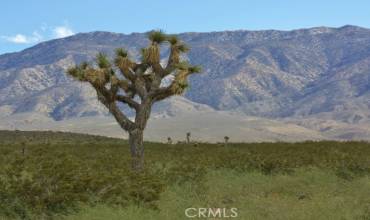 4444 Bessemer, Johnson Valley, California 92285, ,Land,Buy,4444 Bessemer,JT24166804