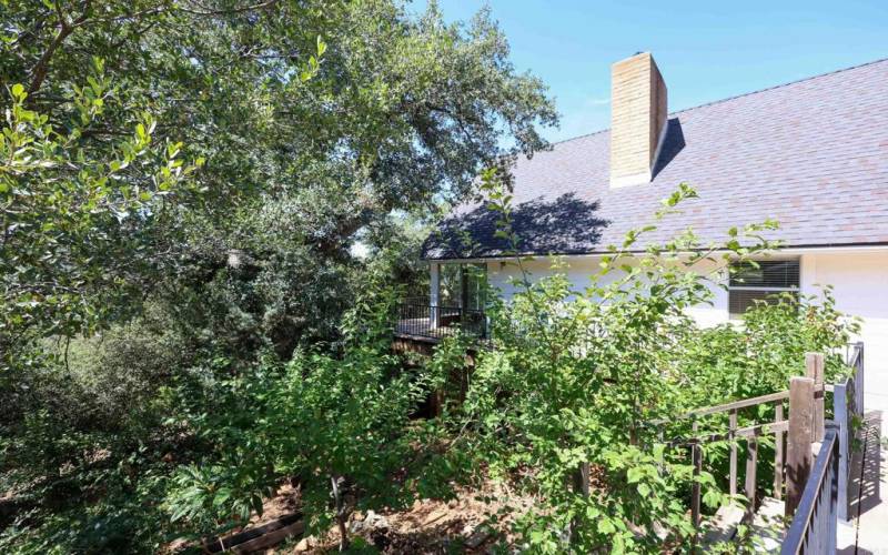 Garden view/ stairs leading down