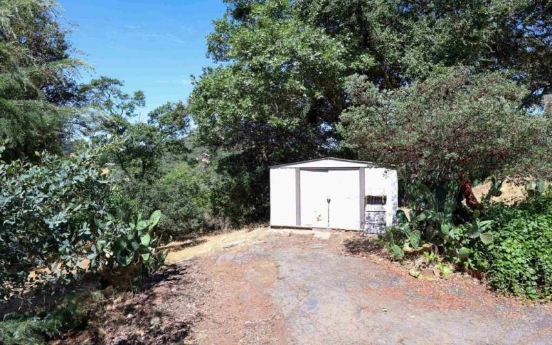 Shed Surrounded by mature trees