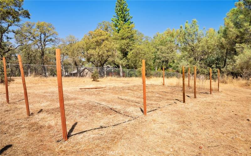 Garden area complete with a drip system.