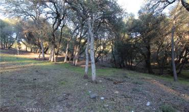 6157 Armijo Avenue, Clearlake, California 95422, ,Land,Buy,6157 Armijo Avenue,LC21250860