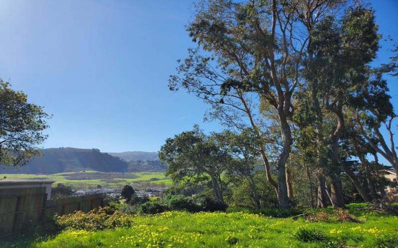 Beautiful Vistas towards the Fish Ranch and Carmel Valley.